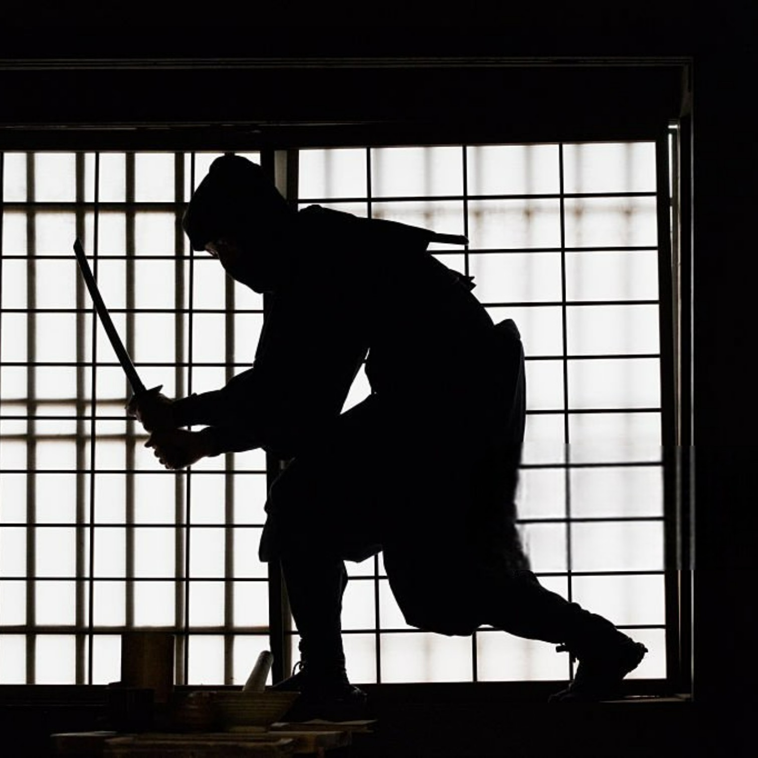忍者 NINJA — Meister des Unsichtbaren, Verkörperung der stillen Kraft von Mai
