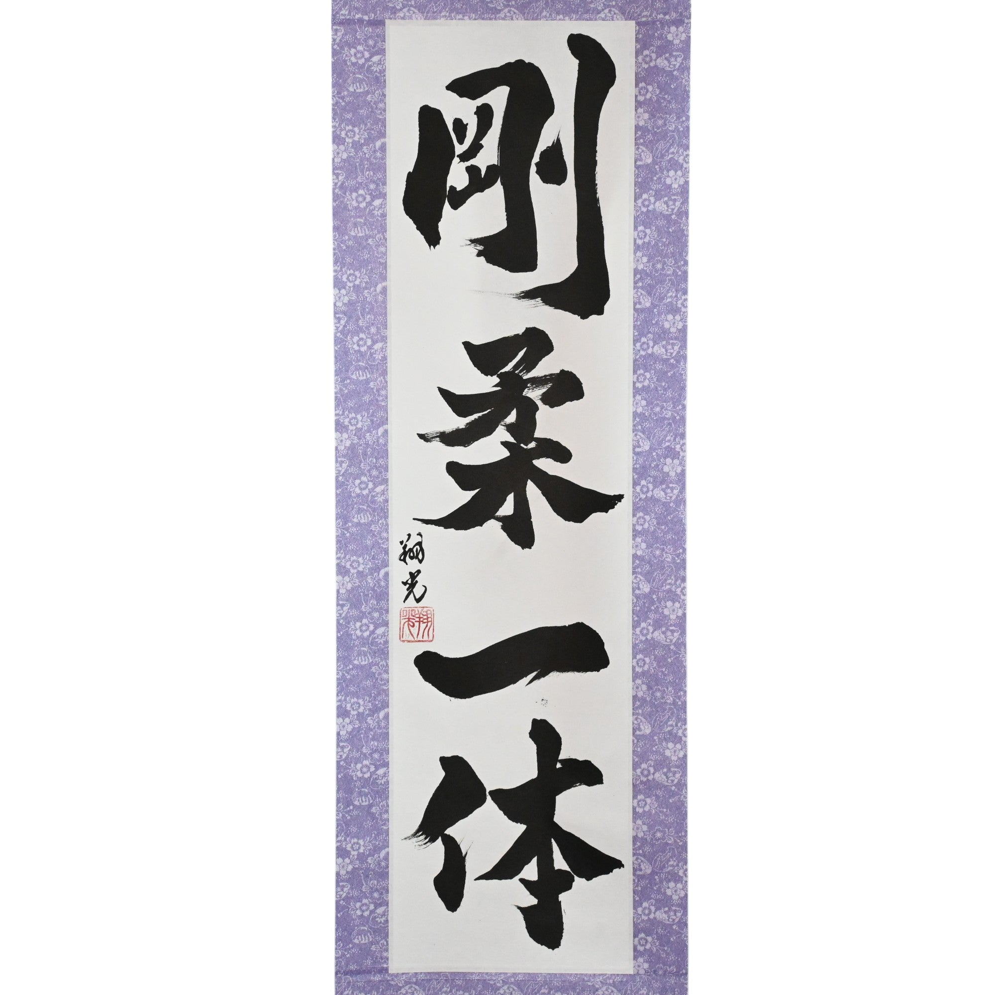 Unité du dur et du mou — 剛柔一体 (Gōjū Ittai) 
