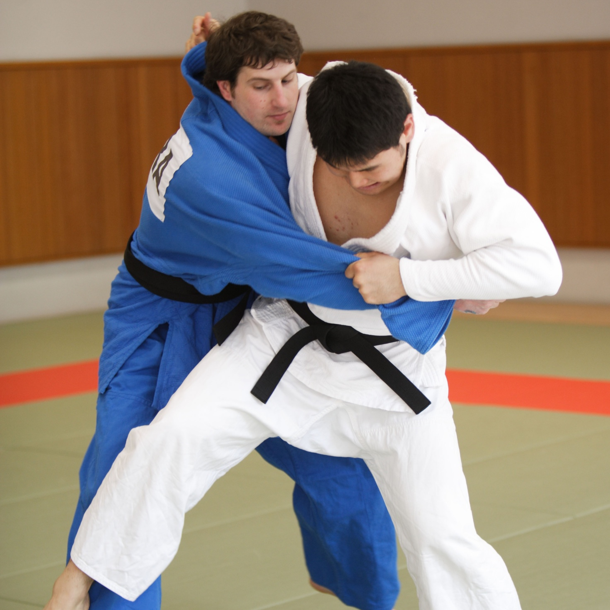 Esprit, Technique et Force Physique — 心技体 (Shin-Gi-Tai) 